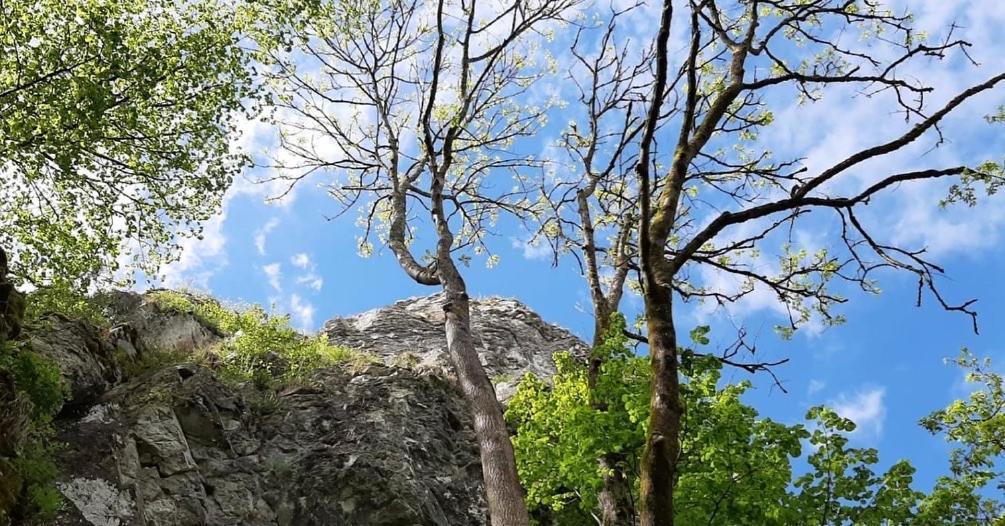 Huis Vikarti, A Lovely House With Incredible View Dinant Exterior foto